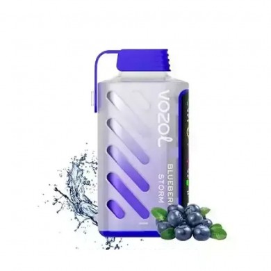 Vozol Gear Power 20000 Blueberry Storm