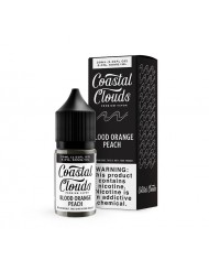 Coastal Clouds Blueberry Limeade Salt Likit